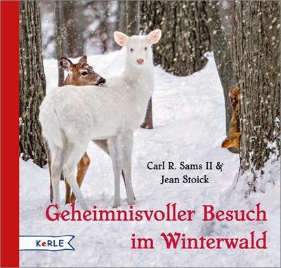 Geheimnisvoller Besuch im Winterwald