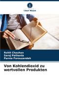 Von Kohlendioxid zu wertvollen Produkten