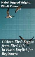 Citizen Bird: Scenes from Bird-Life in Plain Engli
