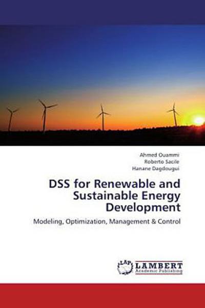 DSS for Renewable and Sustainable Energy Development