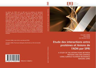 Etude des interactions entre protéines et lésions de l’’ADN par SPRi