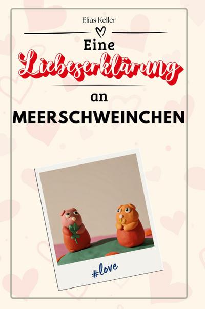Eine Liebeserklärung an Meerschweinchen