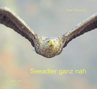 Seeadler ganz nah