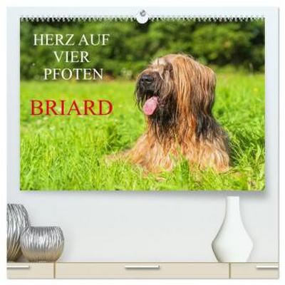 Herz auf vier Pfoten - Briard (hochwertiger Premium Wandkalender 2026 DIN A2 quer), Kunstdruck in Hochglanz