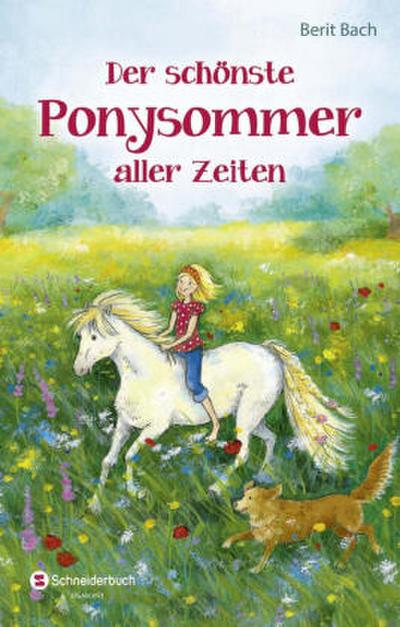 Der schönste Ponysommer aller Zeiten