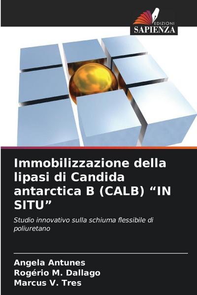 Immobilizzazione della lipasi di Candida antarctica B (CALB) "IN SITU"