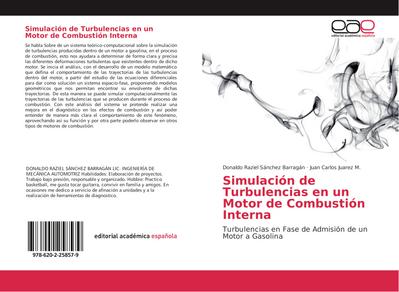 Simulación de Turbulencias en un Motor de Combustión Interna