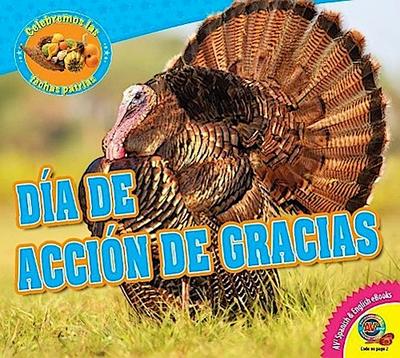 Dia de Accion de Gracias