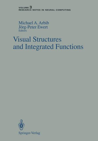Visual Structures and Integrated Functions