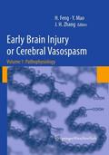 Early Brain Injury or Cerebral Vasospasm