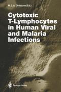 Cytotoxic T-Lymphocytes in Human Viral and Malaria Infections