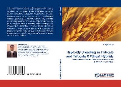 Haploidy Breeding in Triticale and Triticale X Wheat Hybrids