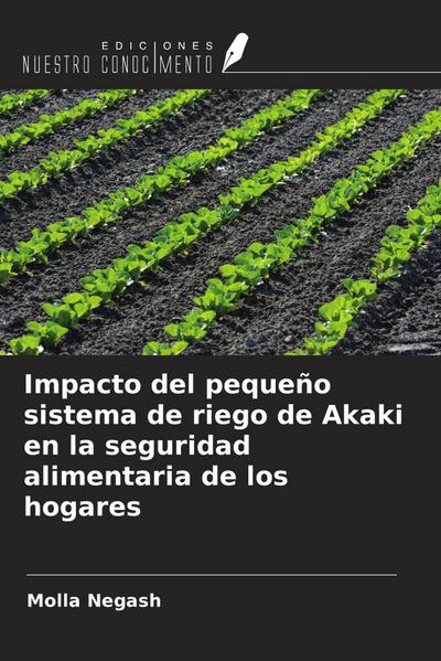 Impacto del pequeño sistema de riego de Akaki en la seguridad alimentaria de los hogares