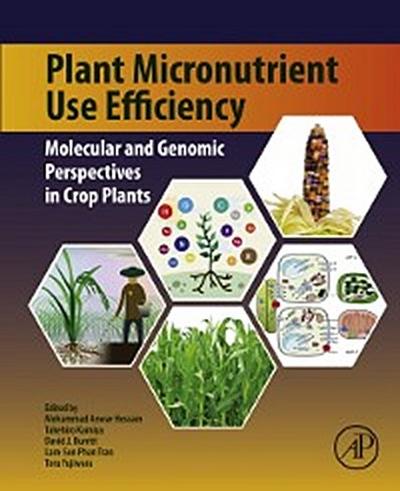 Plant Micronutrient Use Efficiency