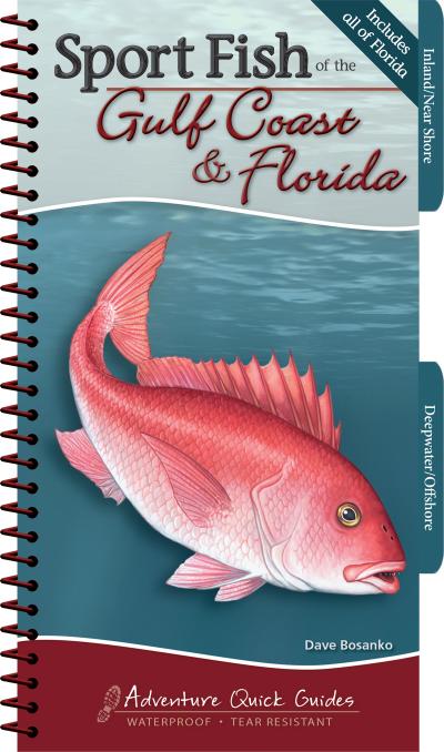 Sport Fish of the Gulf Coast & Florida