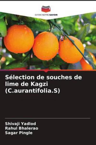 Sélection de souches de lime de Kagzi (C.aurantifolia.S)