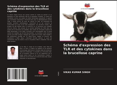 Schéma d’expression des TLR et des cytokines dans la brucellose caprine