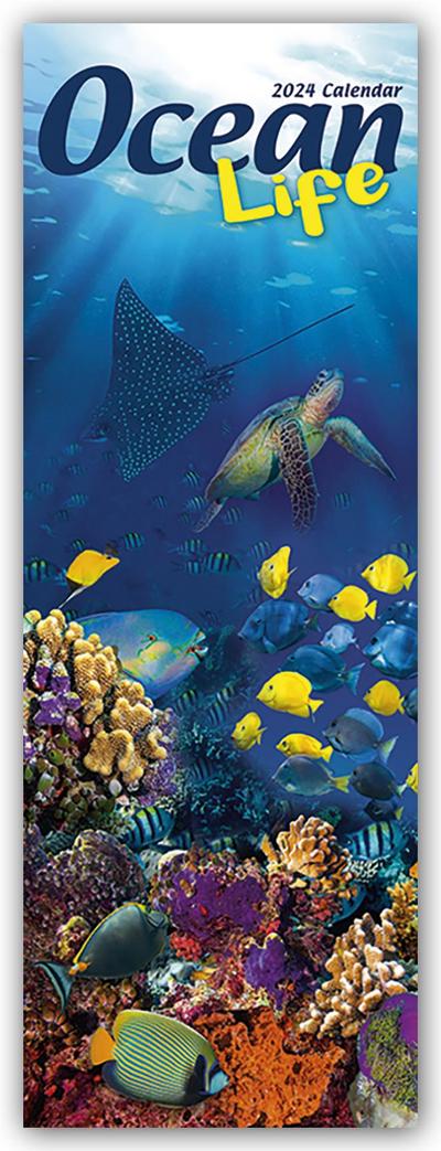 Ocean Life - Lebendige Unterwasserwelt 2024