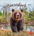Bärenstark Postkartenkalender 2027