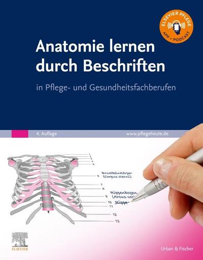 Anatomie lernen durch Beschriften