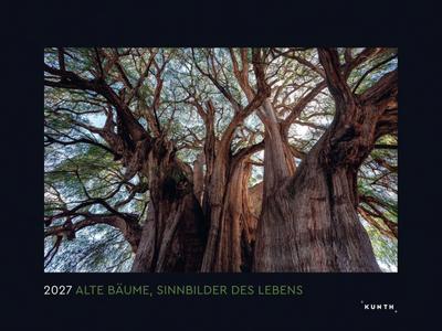 Alte Bäume, Sinnbilder des Lebens - KUNTH Wandkalender 2027 