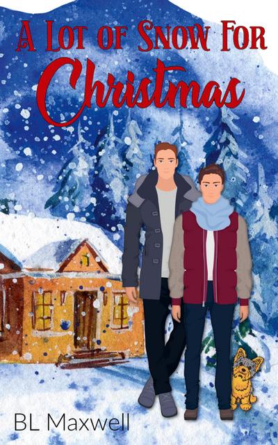 A Lot of Snow For Christmas