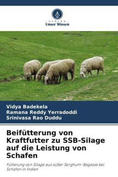Beifütterung von Kraftfutter zu SSB-Silage auf die Leistung von Schafen