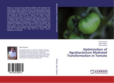 Optimization of Agrobacterium Mediated Transformation in Tomato