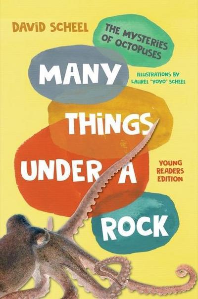 Many Things Under a Rock Young Readers Edition