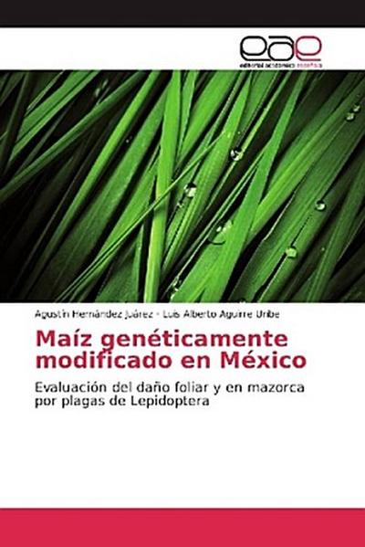 Maíz genéticamente modificado en México