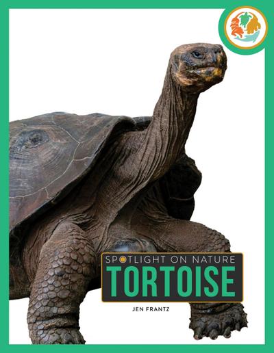 Tortoise