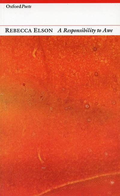 Responsibility to Awe