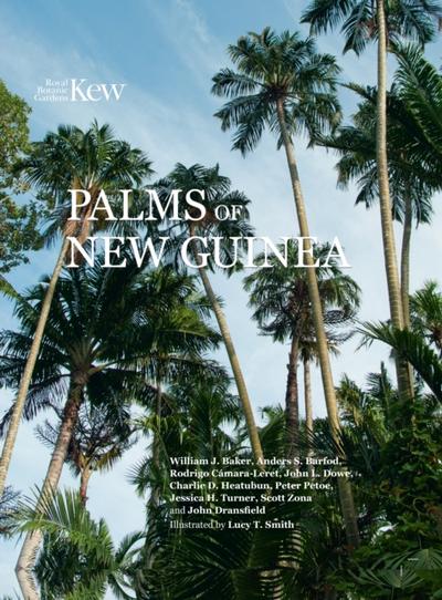 Palms of New Guinea