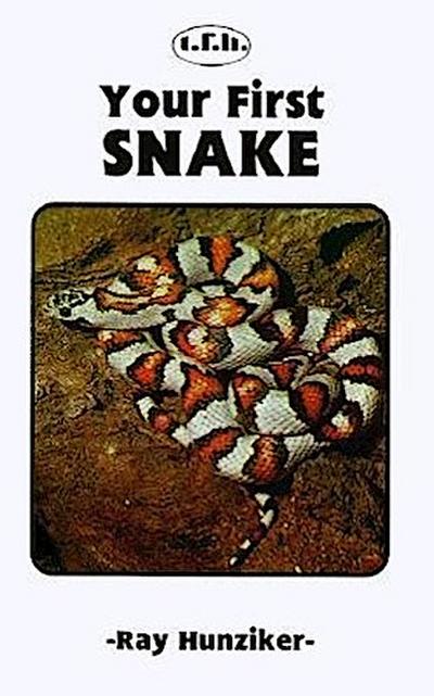 YOUR FIRST SNAKE