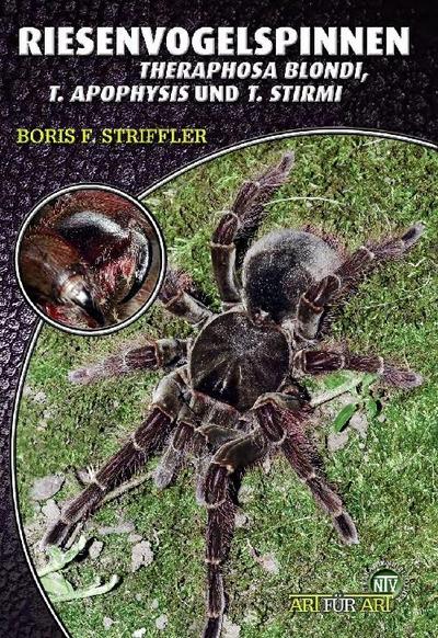 Riesenvogelspinnen
