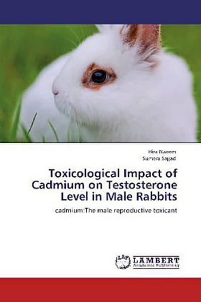 Toxicological Impact of Cadmium on Testosterone Level in Male Rabbits