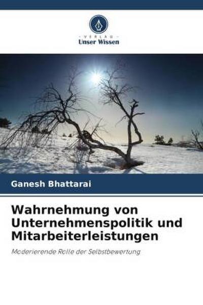 Wahrnehmung von Unternehmenspolitik und Mitarbeiterleistungen