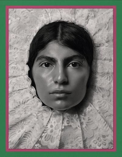 Pieter Henket: Birds of Mexico City