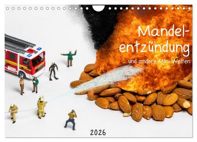 Mandelentzündung ... und andere Mini-Welten (Wandkalender 2026 DIN A4 quer), CALVENDO Monatskalender