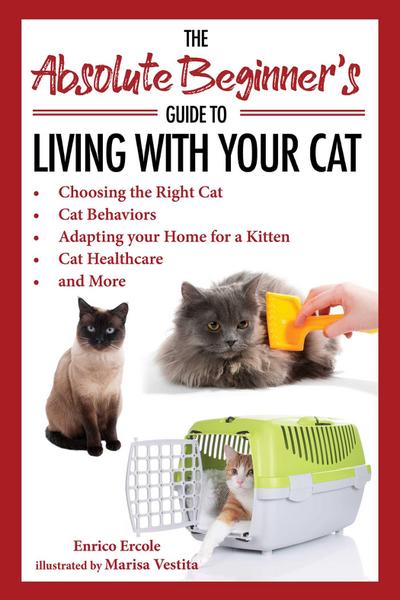 The Absolute Beginner’s Guide to Living with Your Cat