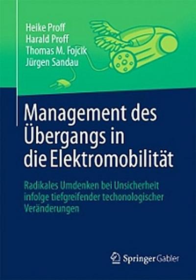 Management des Übergangs in die Elektromobilität