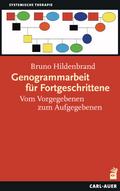 Genogrammarbeit für Fortgeschrittene