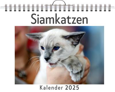 König, L: Siamkatzen