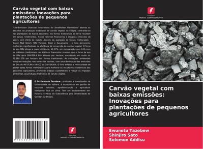 Carvão vegetal com baixas emissões: Inovações para plantações de pequenos agricultores