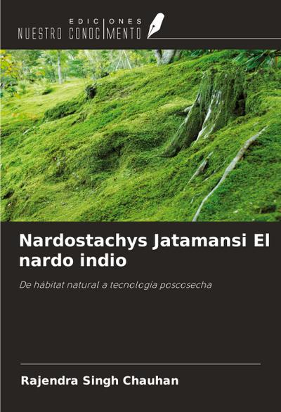 Nardostachys Jatamansi El nardo indio