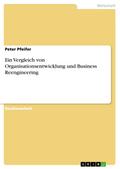 Ein Vergleich von Organisationsentwicklung und Bus