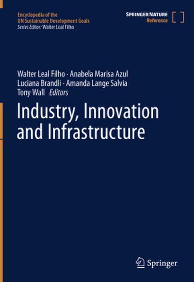 Industry, Innovation and Infrastructure, m. 2 Buch