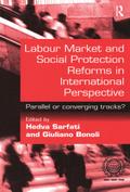 Labour Market and Social Protection Reforms in International Perspective