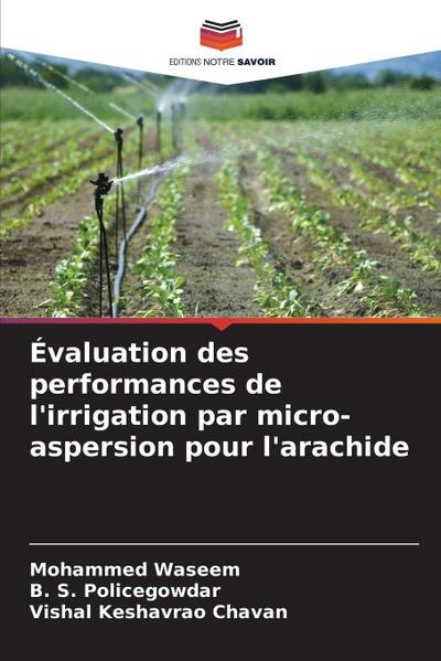Évaluation des performances de l’irrigation par micro-aspersion pour l’arachide