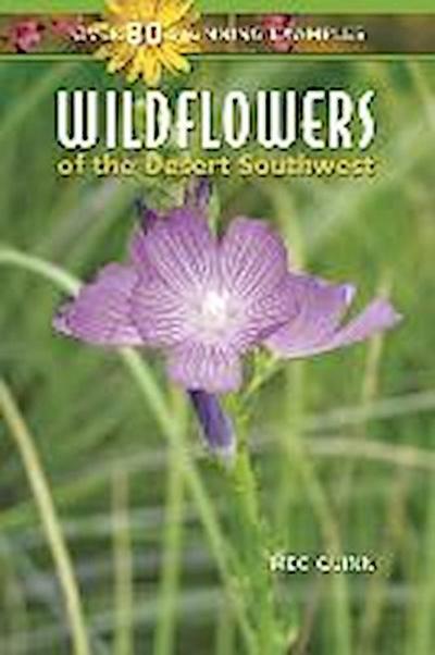 WILDFLOWERS OF THE DESERT SOUT